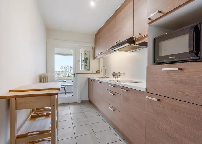 Beautiful Spacious 100m From The With 2 Terraces & Private Garage Box * 奥斯滕德